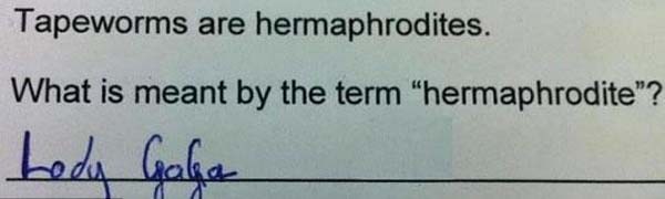 What are hermaphrodites